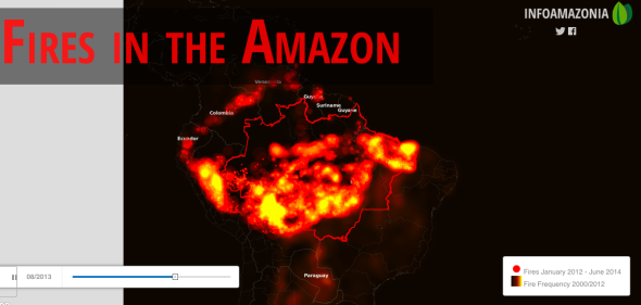 amazon