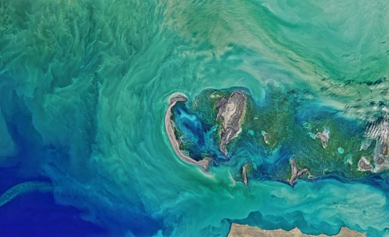 Remote Sensing  February-2 2022 - Browse Articles