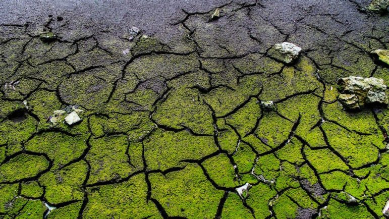 Os fatores climáticos/animação 