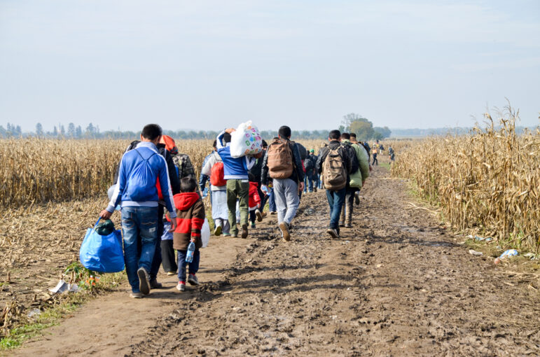 Border between Serbia and Croatia, 3 Nov 2015: Group of War Refugees walking in cornfield. Syrian refugees crossing border to reach EU. Iraqi and Afghans. Balkans Route. Migrants on their way to EU.