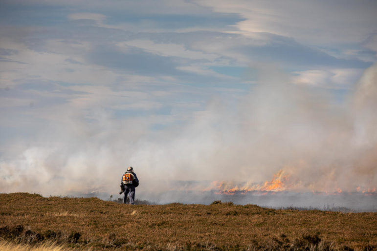 Peatland Burning on North York Moors UK