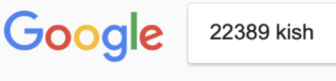 Google 22389 kish license plate image