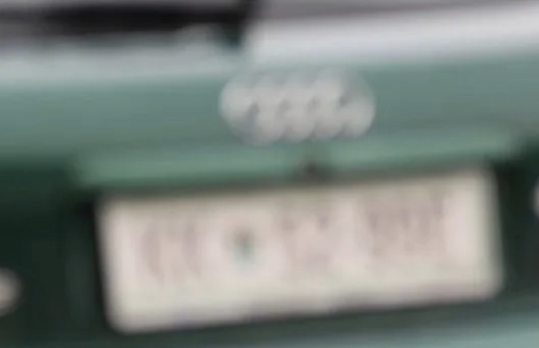 Henk van Ess License plate image 1