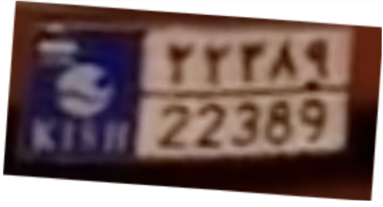 Henk van Ess license plate image 3