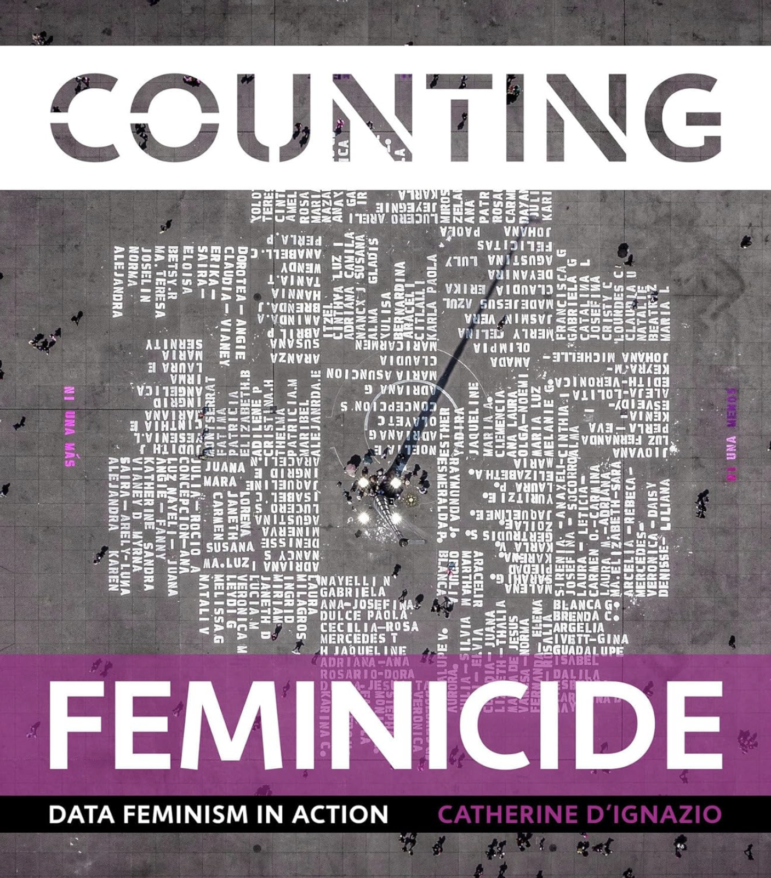 Counting Feminicide book