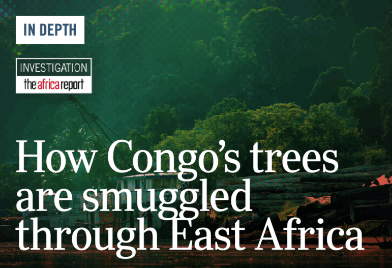 The Africa Report on Smuggling of Congolese hardwoods