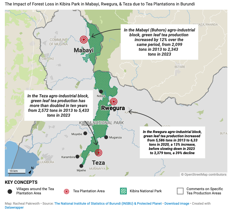 InfoNile, Tea vs. Trees in Burundian National Park