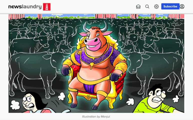 Newslaundry Delhi's stray cattle crisis