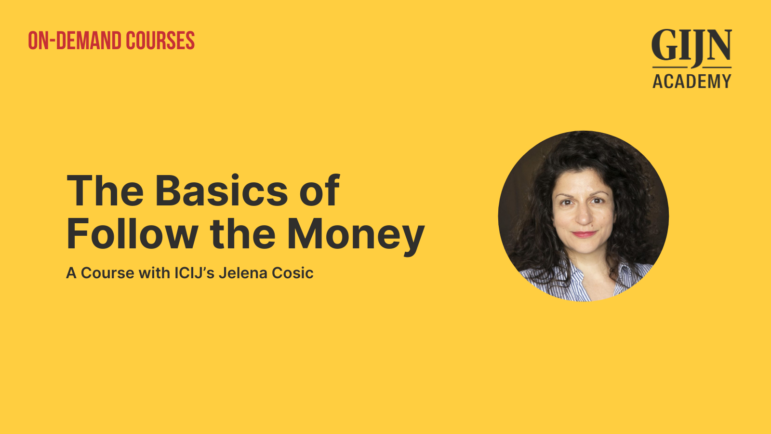 GIJN Academy on-demand course, basics of follow the money with Jelena Cosic