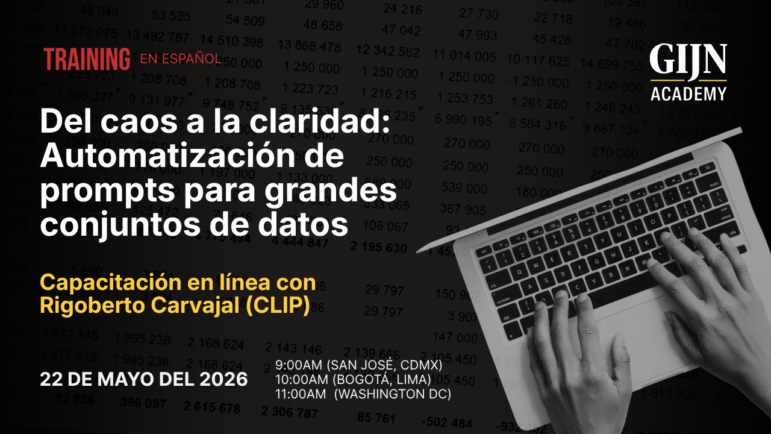Del caos a la caridad: Automatización de prompts para grandes conjuntos de datos digital training