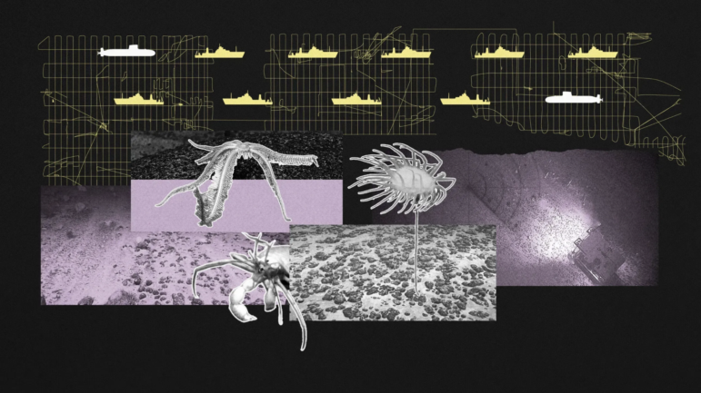 Deep-Sea Mining Secrets image