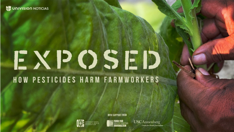 Univision exposé on how pesticides harm farmworkers