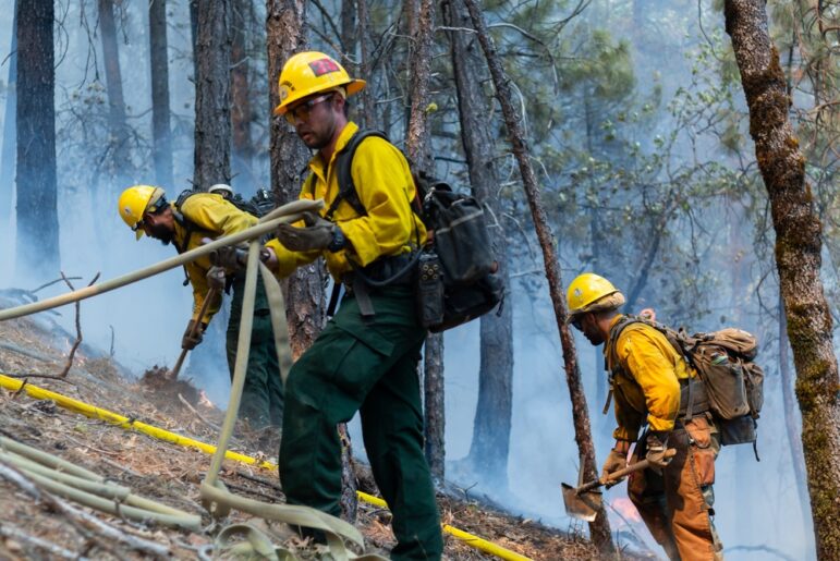 Wildland firefighters work on a mountainside to contain a section of the Dixie Fire near Mineral, CA on August 13th, 2021
