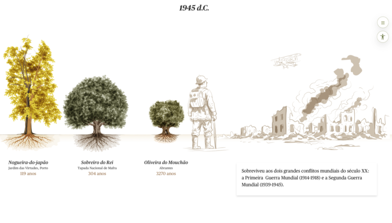 Público Portugal's oldest trees