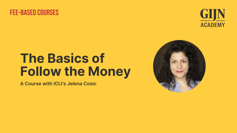 Jelena Cosic, Follow the Money fee-based training