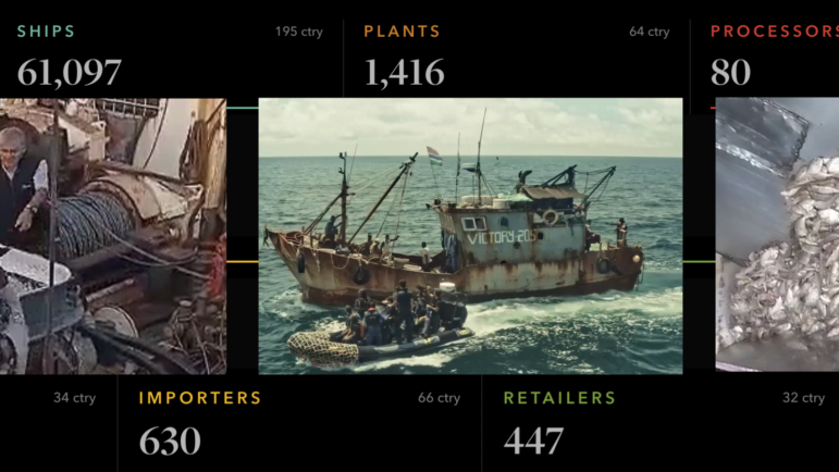 Food for Feed investigation, Outlaw Ocean Project